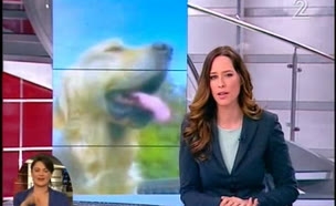 ערוץ טלוויזיה ייחודי לכלבים