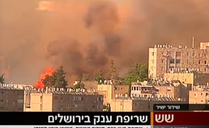 שריפת ענק בירושלים: תושבים פונו, נזק נגרם לדירות