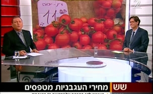 מחירי העגבניות מרקיעים