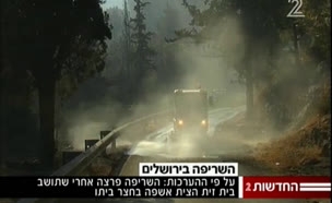 הערכה: האש ביער ירושלים נגרמה מרשלנות