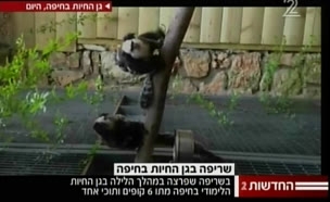 6 קופים נספו בשריפה בגן החיות